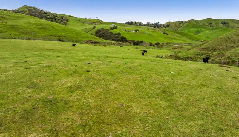 59 Tawhiwhi Road, Matau