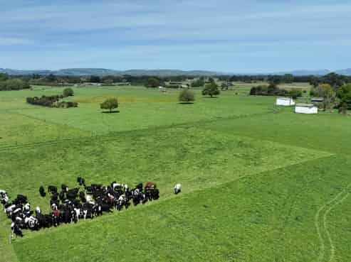 Lot 2, 382 Dalefield Road, Dalefield