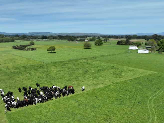 Lot 2, 382 Dalefield Road, Dalefield