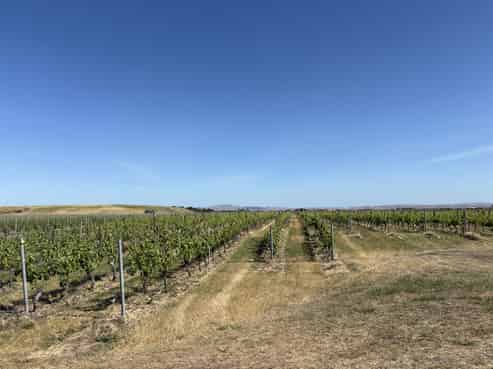 121 Mere Road, Fernhill