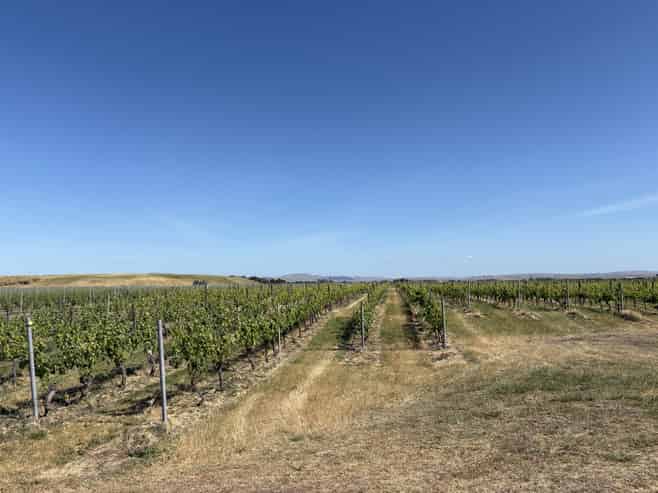 121 Mere Road, Fernhill