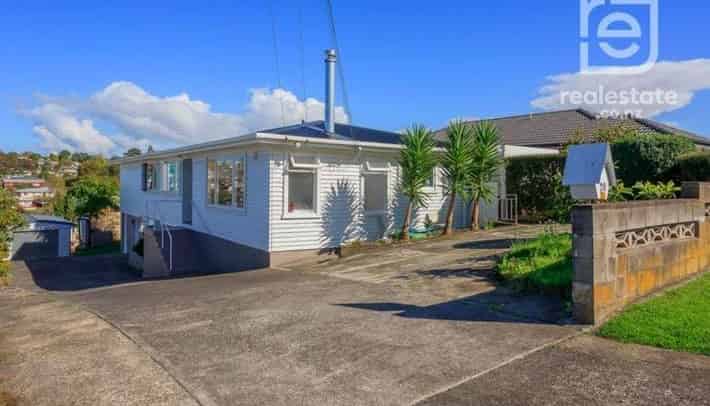 20 Ellis Avenue, Mount Roskill