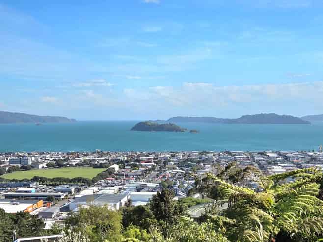 3 Chestnut Grove, Maungaraki