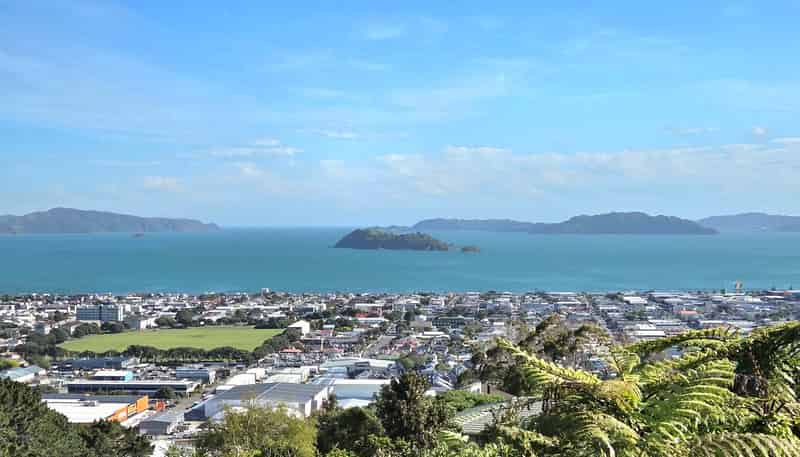 3 Chestnut Grove, Maungaraki