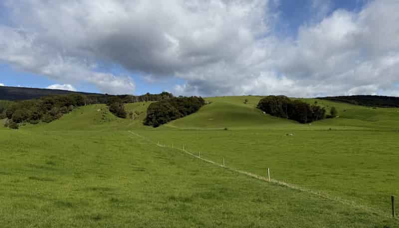85 Allan Road, Otautau