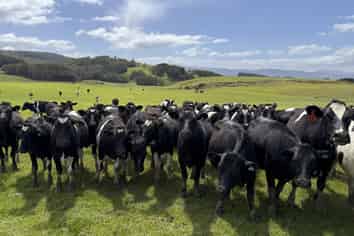 85 Allan Road, Otautau