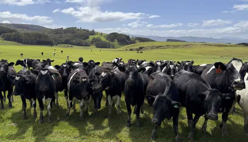 85 Allan Road, Otautau