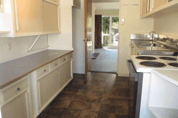 54 Holly Road, Merivale