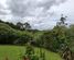 15 Mangotahi Road, Thames, Thames-Coromandel, Coromandel
