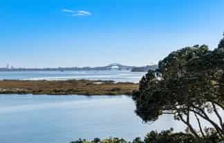 15 Lynch Street, Point Chevalier