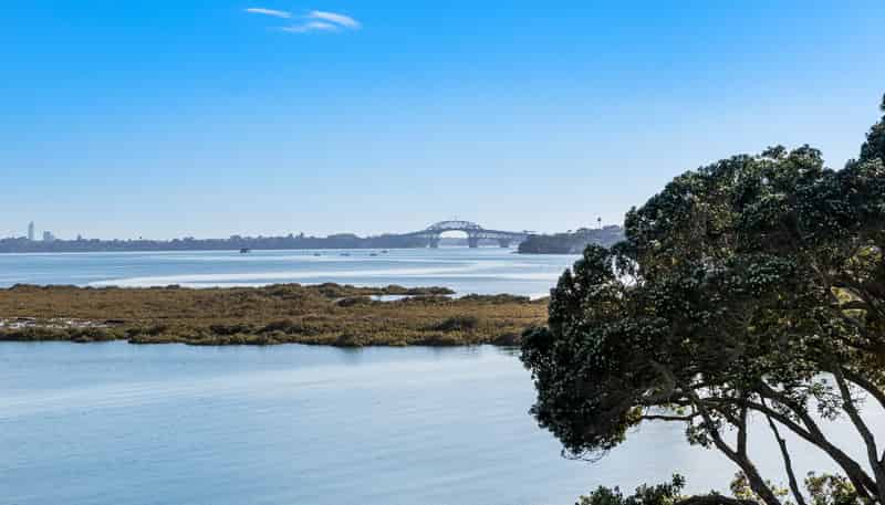 15 Lynch Street, Point Chevalier