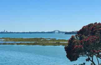 15 Lynch Street, Point Chevalier