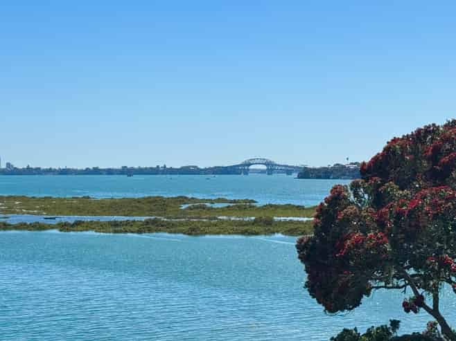 15 Lynch Street, Point Chevalier