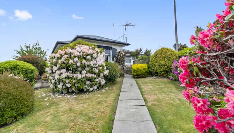 62 Evans Street, Maori Hill