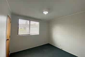 20 Kowhai Street, Hamilton Lake