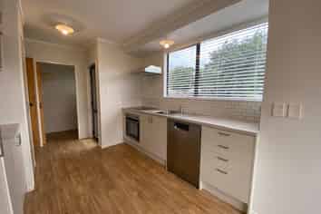 20 Kowhai Street, Hamilton Lake