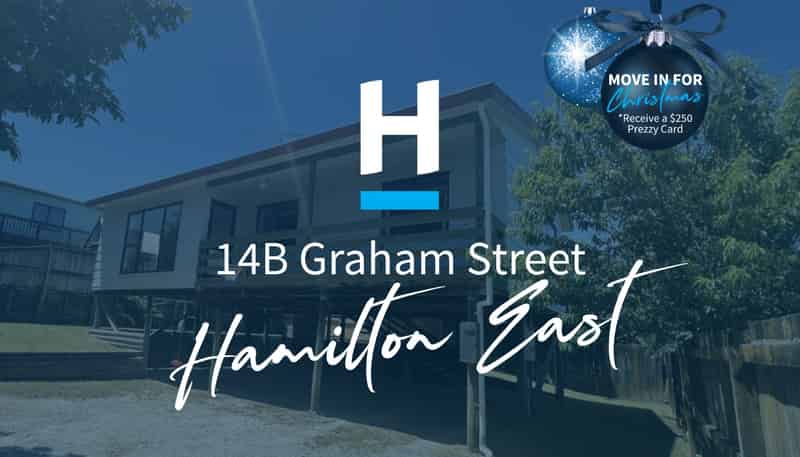 14B Graham Street, Hamilton East
