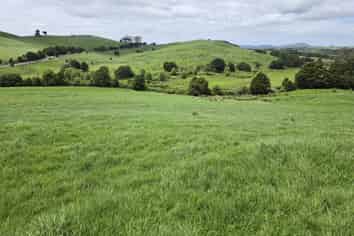 148 Malone Road, Kokopu