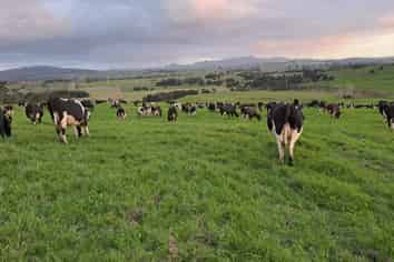 148 Malone Road, Kokopu