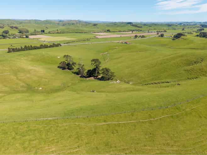  79816 State Highway 2, Woodville