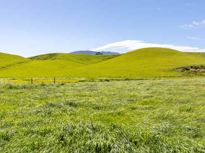  79816 State Highway 2, Woodville