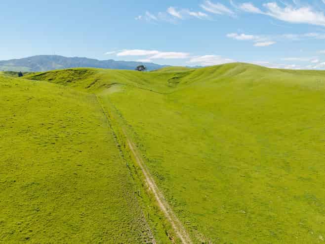  79816 State Highway 2, Woodville