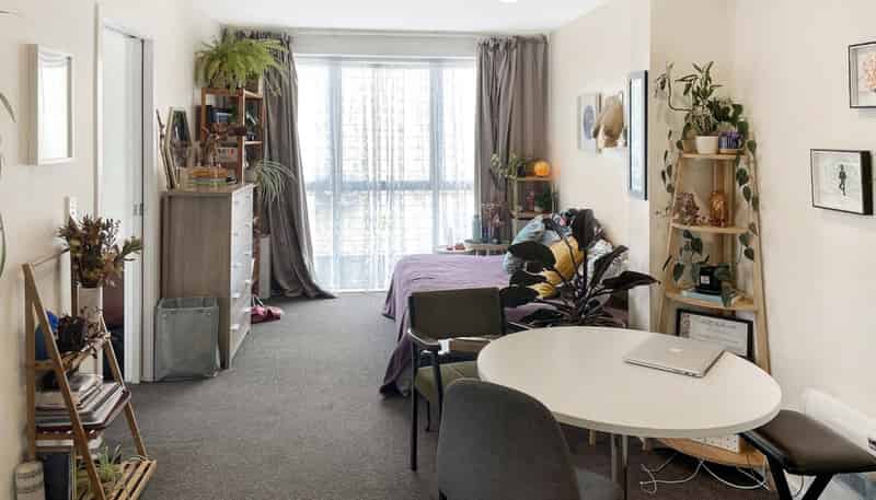 1/2 Palmer Street, Te Aro