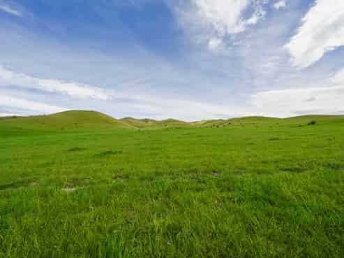 Lot Lots 1-11,, 173 Corrigall Road, Omakau, Alexandra