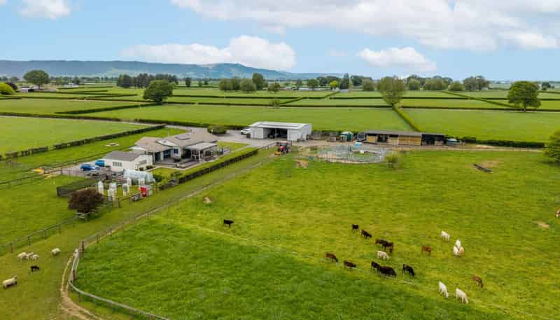 1636 Alexandra Road, Waharoa