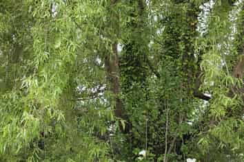 86 Rangiuru Road, Otaki Beach