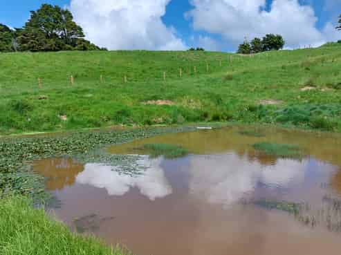Lot/2 Wearmouth Road, Paparoa