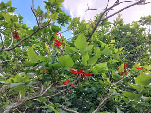 Lot/2 Wearmouth Road, Paparoa