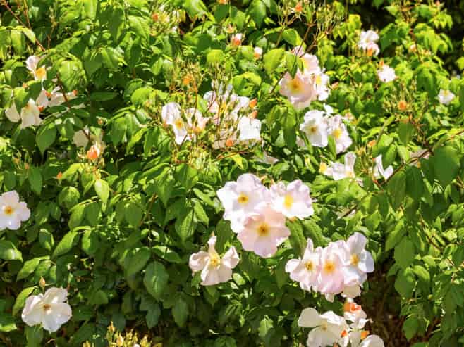 296 Omokoroa Road, Omokoroa