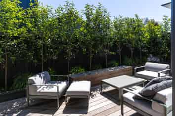 3/6 Naseby Street, Merivale