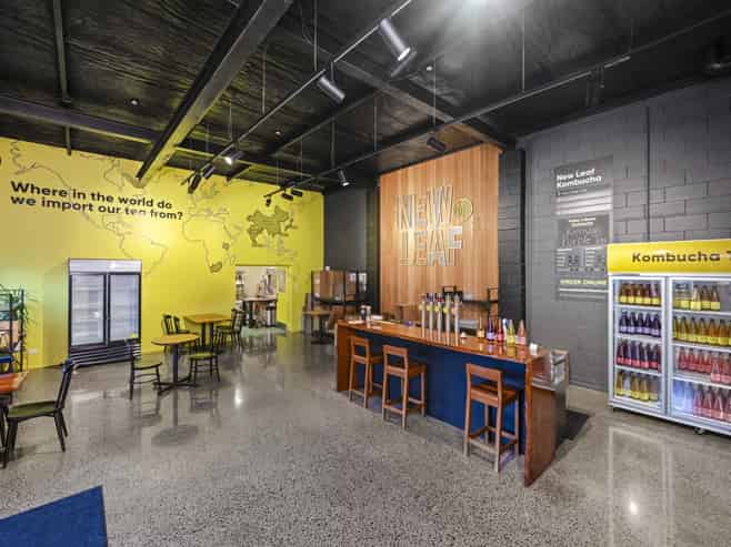 Rare Grey Lynn Freehold Opportunity