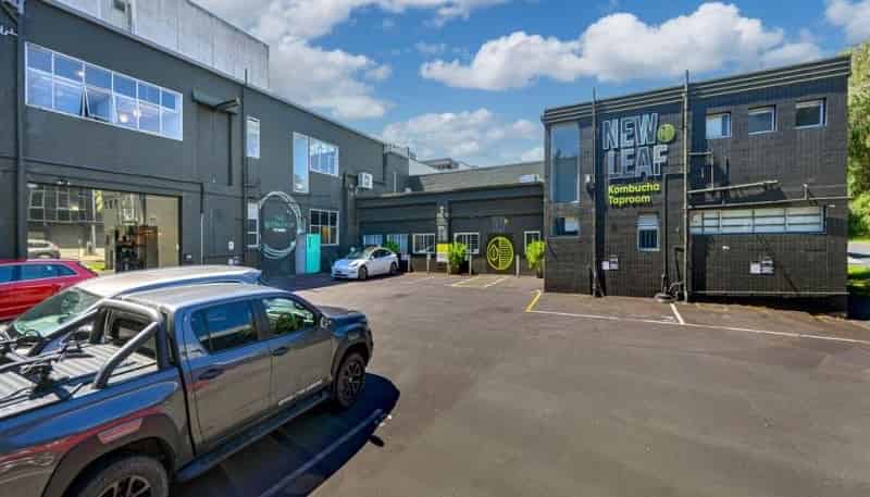 37 Crummer Road, Grey Lynn