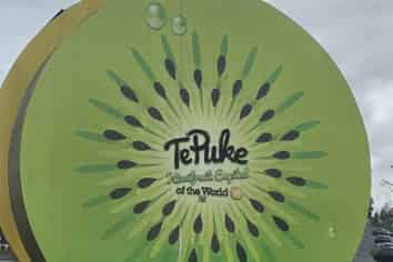 50B Moehau Street, Te Puke