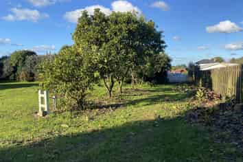 50B Moehau Street, Te Puke