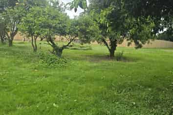 50B Moehau Street, Te Puke