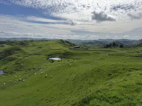 268a Tiriraukawa Road, Taihape and Surrounds
