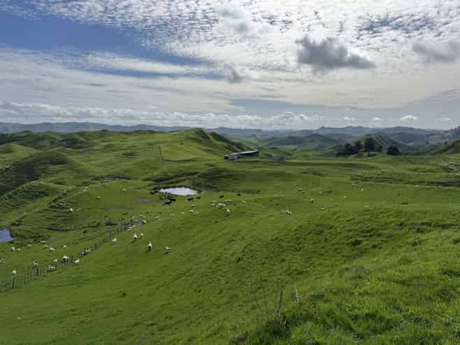 268a Tiriraukawa Road, Taihape and Surrounds