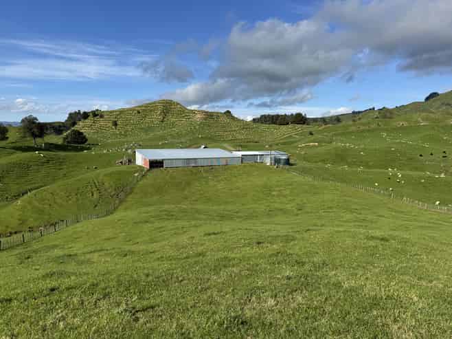 268a Tiriraukawa Road, Taihape and Surrounds