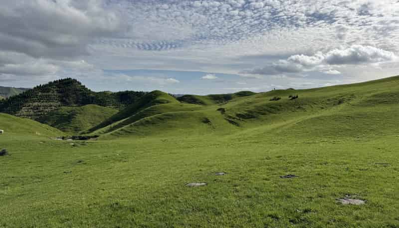 268a Tiriraukawa Road, Taihape and Surrounds
