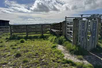 268a Tiriraukawa Road, Taihape and Surrounds