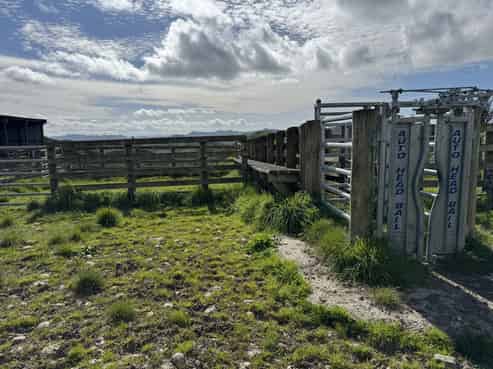 268a Tiriraukawa Road, Taihape and Surrounds
