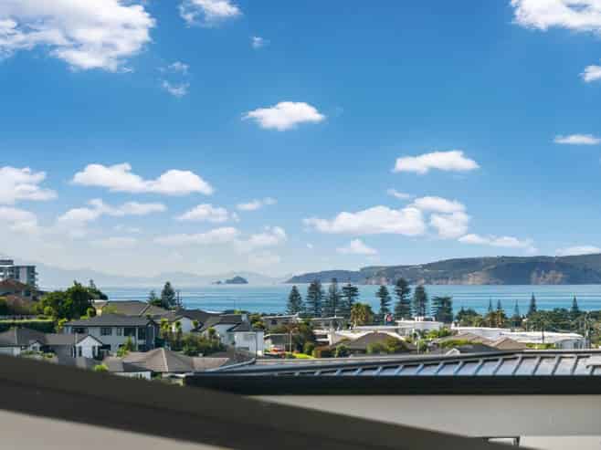 4 Tendril Court, Millwater