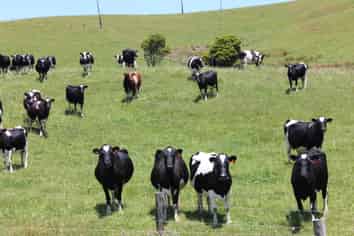 89 Jones Road, Dargaville