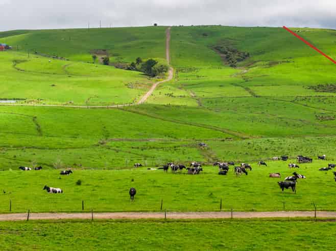 89 Jones Road, Dargaville