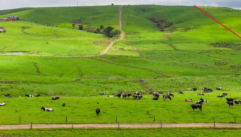 89 Jones Road, Dargaville