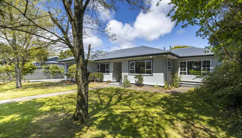 17 Harris Street, Waitara